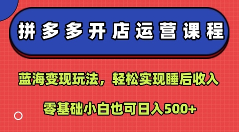 拼多多开店运营课程：蓝海变现玩法，轻松实现睡后收入，零基础小白也可日入5张-清风
