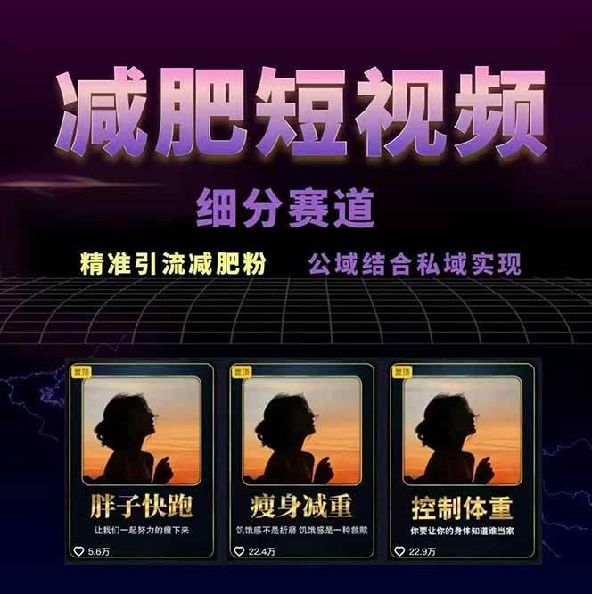 图片[2]-减肥短视频运营实战课：含素材制作、剪映教学，讲精准引流、变现设计与内容模板技巧-清风