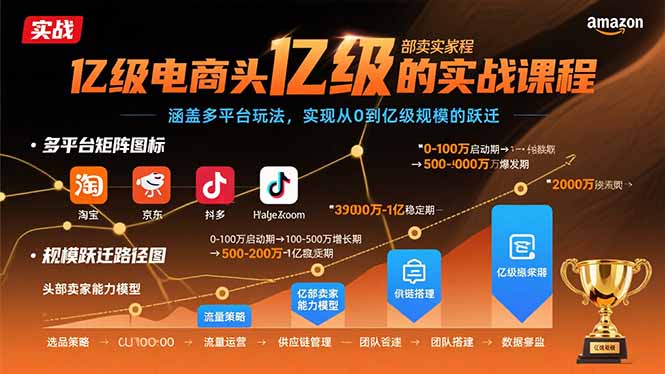 亿级电商头部卖家的实战课程：涵盖多平台玩法，实现从0到亿级规模的跃迁-清风