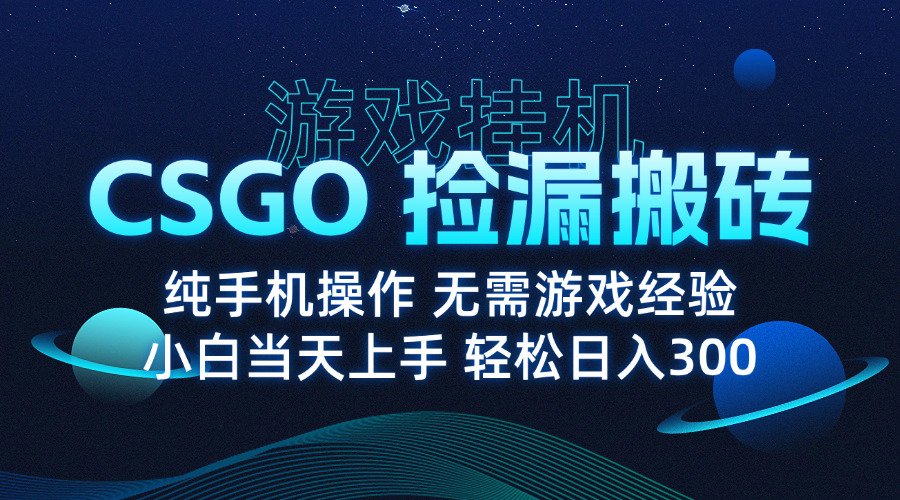 8月最新游戏搬砖，CSGO纯挂机，不需要玩游戏，实现真挂机，月入1W+-清风