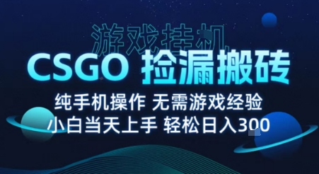8月最新游戏搬砖，CSGO纯挂G，不需要玩游戏，实现真挂G，月入1W+【揭秘】-清风