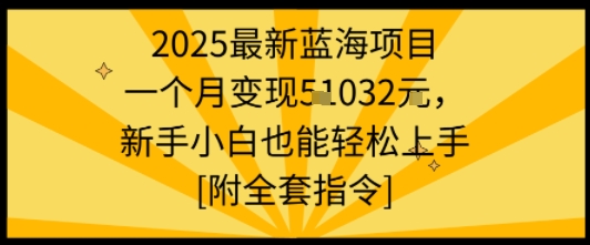 2025最新蓝海项目一个月变现1w+新手小白也能轻松上手【附全套指令】-清风