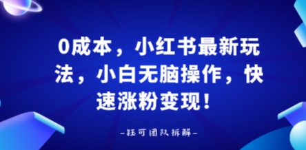 0成本，小红书最新玩法，小白无脑操作，快速涨粉变现-清风