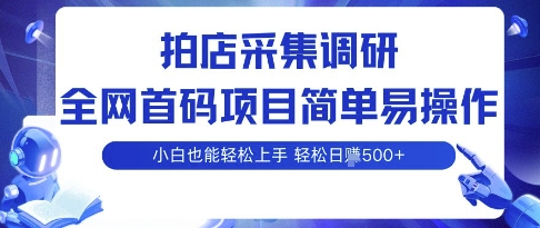 拍店采集调研，全网首码项目，简单易操作， 小白也能轻松上手，多账号操作，轻松日入5张【揭秘】-清风