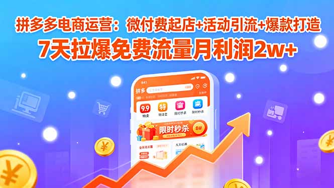 拼多多电商运营：微付费起店+活动引流+爆款打造 7天拉爆免费流量月利润2w+-清风