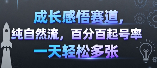 成长感悟赛道，纯自然流，百分百起号率 一天轻松多张-清风