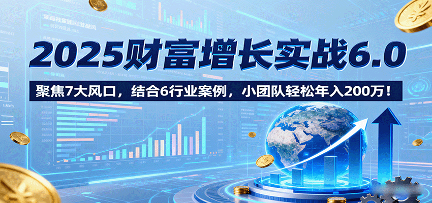 2025财富增长实战6.0，聚焦7大风口，结合6行业案例，小团队轻松年入200万！-清风
