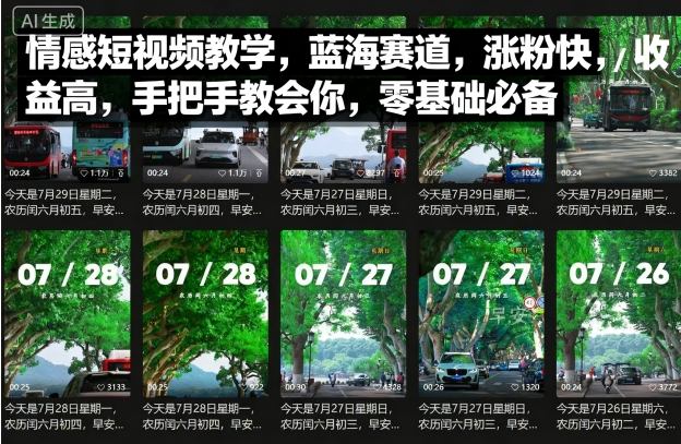 情感短视频教学，蓝海赛道，涨粉快，收益高，手把手教会你，零基础必备-清风