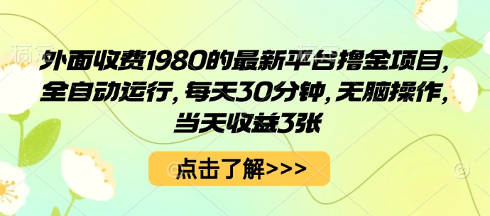 外面收费1980的最新平台撸金项目，全自动运行，每天30分钟，无脑操作，当天收益3张【揭秘】-清风
