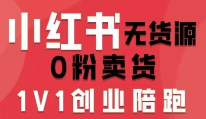 小红书无货源0粉电商课，开店准备、选品策略、笔记撰写、视频剪辑、数据分析、账号打造、资料文档-清风