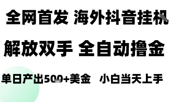海外抖音无人直播，单日产出1.5k+，长期稳定，新手可玩，无脑操作【揭秘】-清风