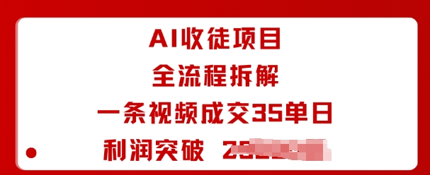 AI收徒项目全流程拆解一条视频成交35单日利润突破1k+-清风