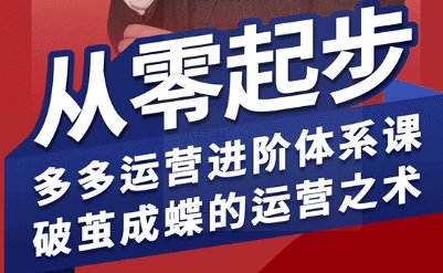 拼多多运营进阶系统课，从零起步，多多运营进阶体系课，破茧成蝶的运营之术(更新9月)-清风