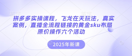 拼多多实操课程，飞龙在天玩法，真实案例，直播全流程链接的黄金sku布局原价操作六个活动-清风