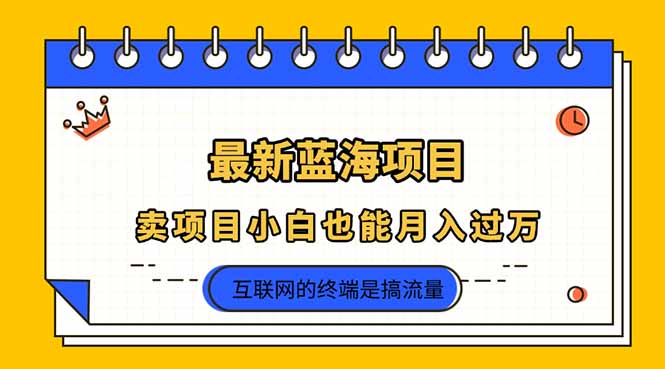2025年最新蓝海项目，卖项目小白也能月入过万-清风