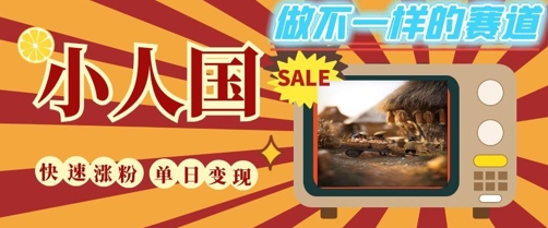 DeepSeek+绘图+视频制作小人国微观视频，小白轻轻松松上手，条条爆款，条条变现，单日就能收益-清风
