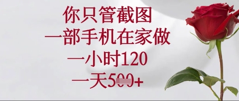你只管截图，一部手机在家操作，一小时120.一天5张【揭秘】-清风