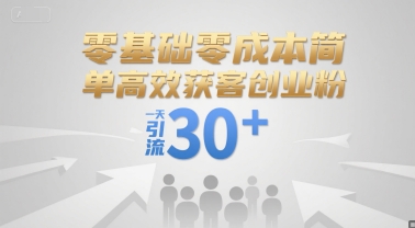 零基础零成本简单高效获客创业粉，一天引流30+-清风