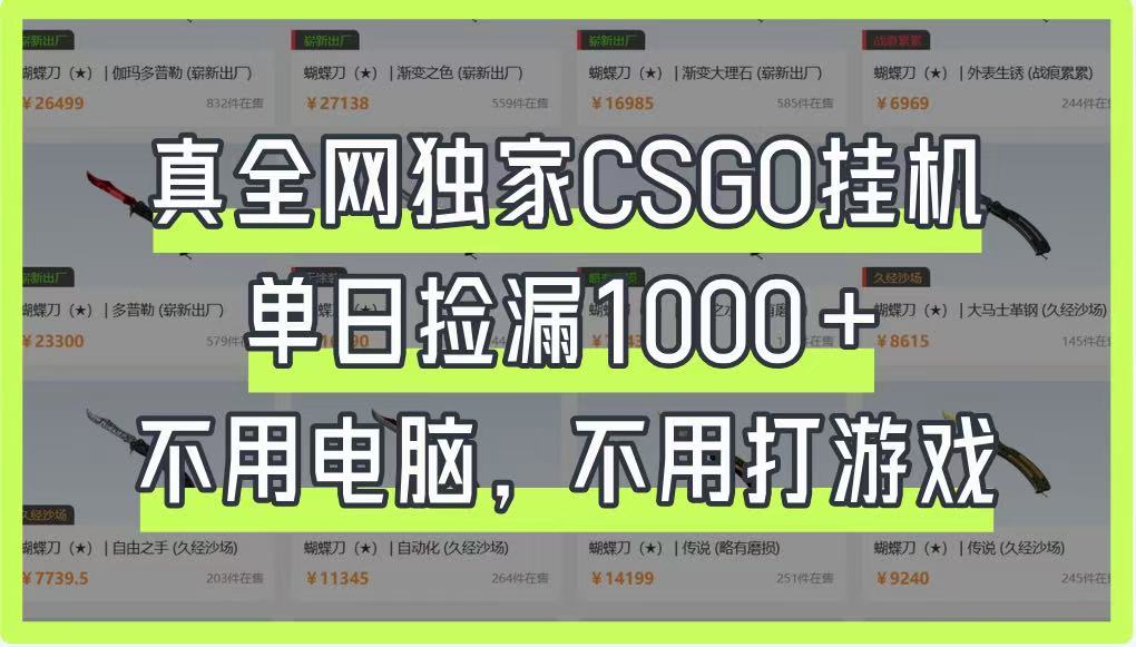 真全网独家CSGO挂机，单日捡漏1000+，不用电脑，不用养号-清风
