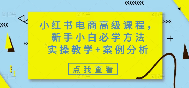 小红书电商高级课程，新手小白必学方法，实操教学+案例分析-清风