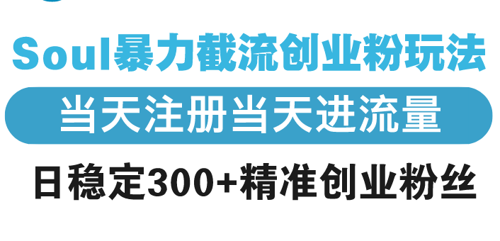 Soul暴力截流创业粉玩法，当天注册当天进流量，日稳定300+精准创业粉丝-清风