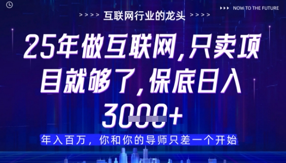什么！25年你还在找项目做？风口早就变了，卖项目才是稳挣不赔【揭秘】-清风