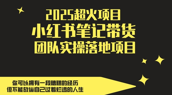 2025超火项目，副业最佳选择，小红书笔记带货团队实操落地项目，，轻松日入5张-清风