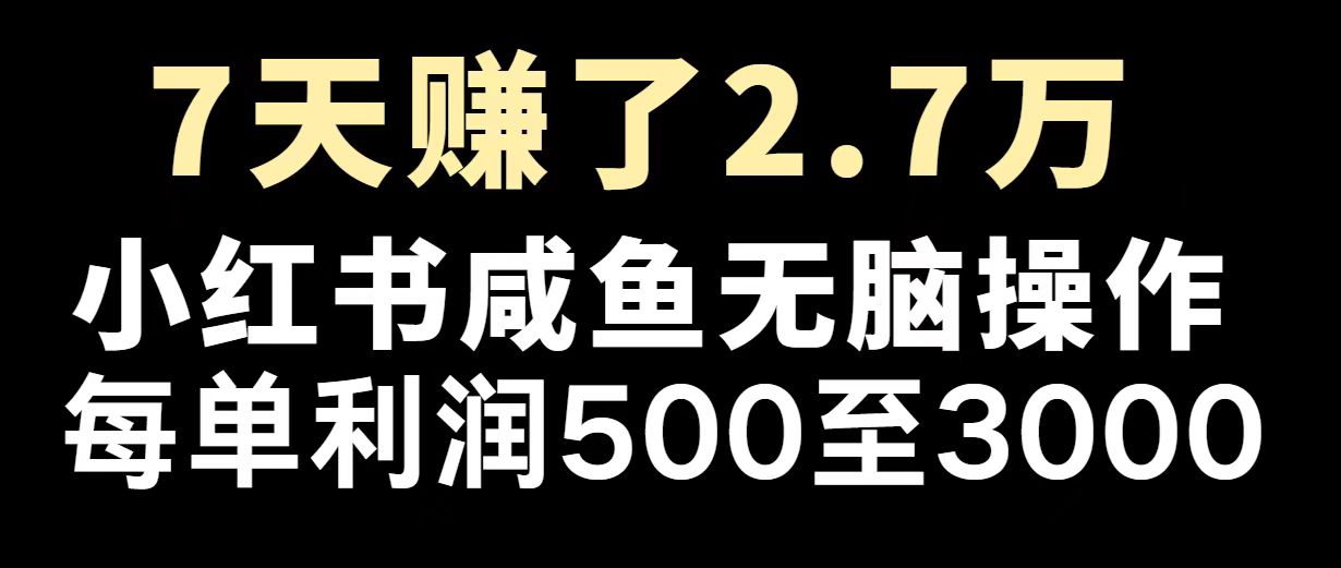 最赚钱项目之一，2025爆火，逆风翻盘！-清风