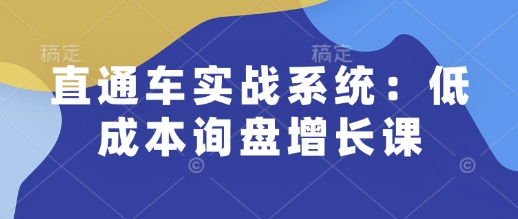 直通车实战系统：低成本询盘增长课，让个人通过技能实现升职加薪，让企业低成本获客，订单源源不断-清风