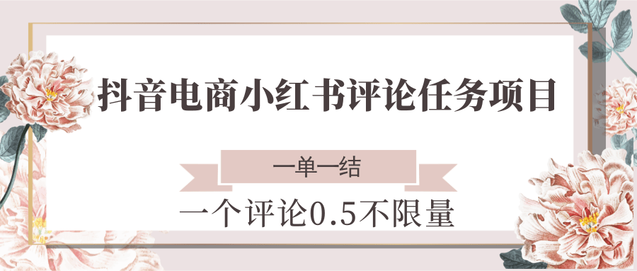 抖音电商小红书评论任务项目，一个评论0.5，一单一结 不限量-清风