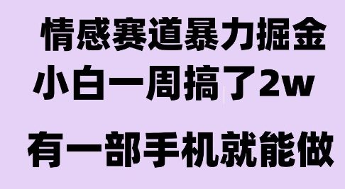 情感暴力掘金项目，新人操作一周挣了2W，长期稳定小白可做【揭秘】-清风