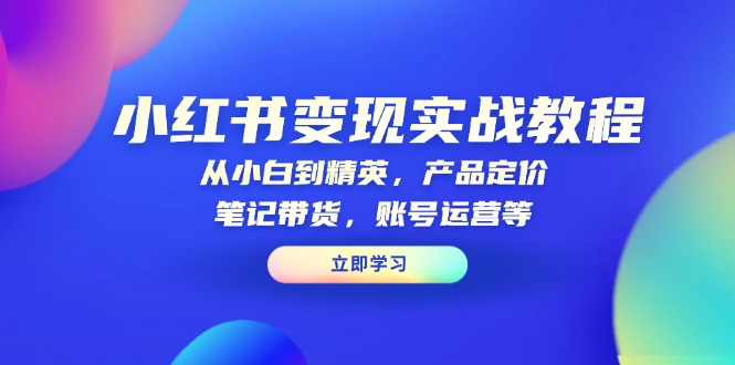 小红书变现实战教程：从小白到精英，产品定价，笔记带货，账号运营等-清风
