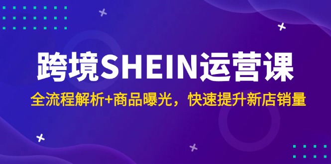 跨境SHEIN运营课，全流程解析+商品曝光，快速提升新店销量-清风