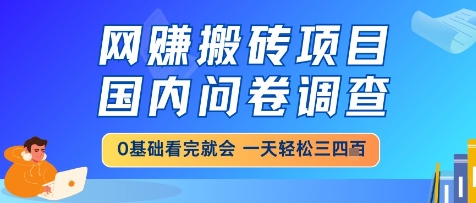 网创搬砖项目，国内问卷调查，小白轻松上手，一天三四张的也不难，干就完了【揭秘】-清风
