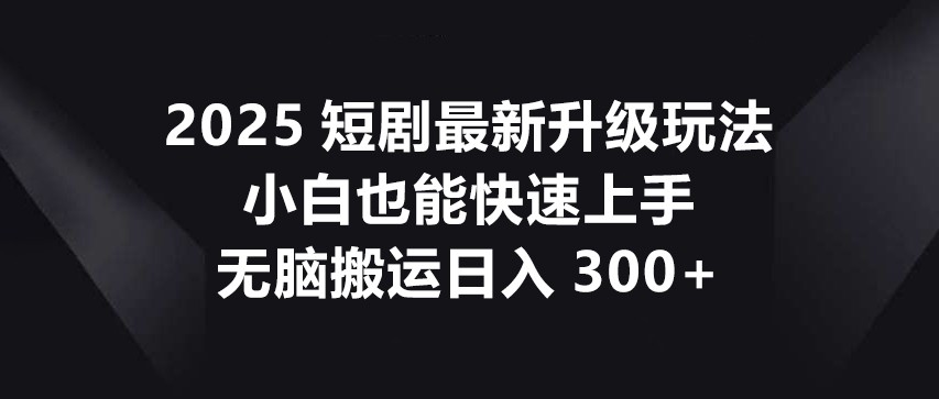 2025短剧最新升级玩法，小白也能快速上手，无脑搬运日入300+-清风
