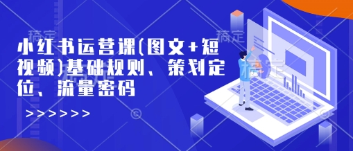 小红书运营课(图文+短视频)基础规则、策划定位、流量密码-清风
