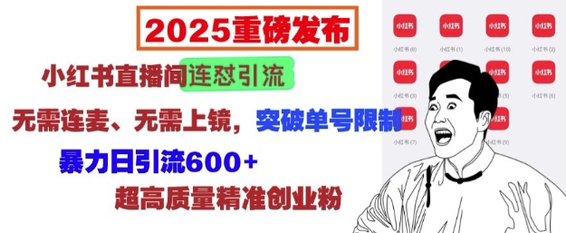 2025重磅发布：小红书直播间连怼引流，无需连麦、无需上镜，突破单号限制，暴力日引流600+-清风