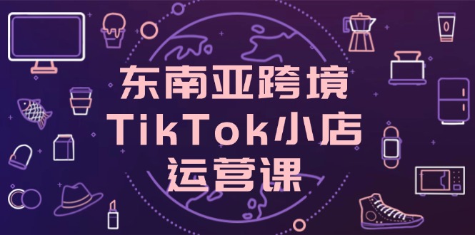 东南亚跨境TikTok小店运营课，掌握店铺设置与流量转化核心技巧-清风