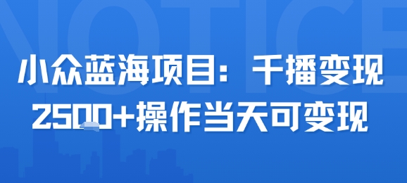 小众蓝海项目，千播变现2.5k+操作当天可变现-清风