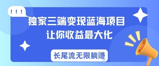 独家三端变现蓝海项目，让你收益最大化，长尾流无限躺挣-清风