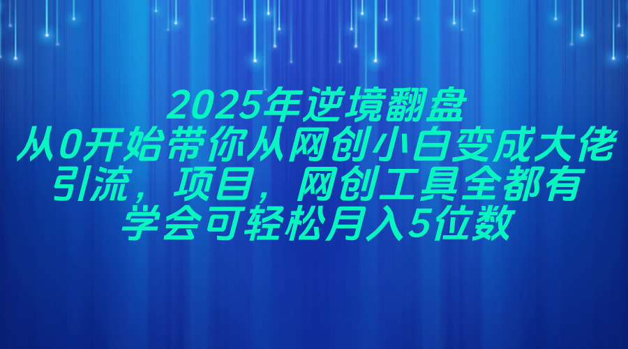 2025年逆境翻盘，从0开始带你从网创小白变成大佬，引流，项目，网创工…-清风