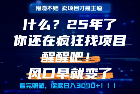 什么？25年你还在疯狂找项目做，醒醒吧，看完这些你全都懂了！【揭秘】-清风