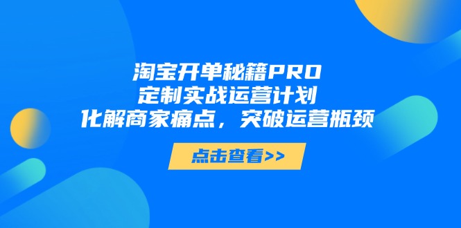 淘宝开单秘籍PRO，定制实战运营计划，化解商家痛点，突破运营瓶颈-清风