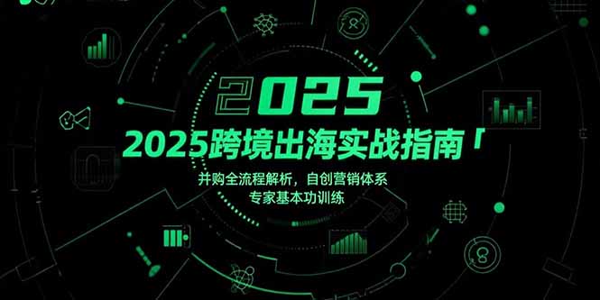 2025跨境出海实战指南，并购全流程解析，自创营销体系，专家基本功训练-清风