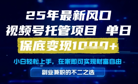 25年最新风口，视频号托管项目，单日保底变现1k+，手把手教学【揭秘】-清风