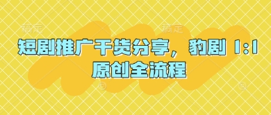 短剧推广干货分享，豹剧 1:1原创全流程-清风