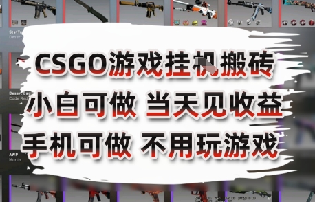 CSGO游戏挂G搬砖，小白纯手机即可操作，不用电脑打游戏，日入3张+，副业网创项目【揭秘】-清风