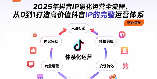 2025年抖音IP孵化运营全流程，从0到1打造高价值抖音IP的完整运营体系-清风