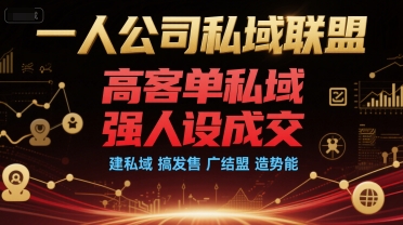 一人公司私域联盟，高客单私域，强人设成交，建私域 搞发售 广结盟 造势能-清风