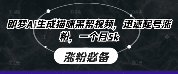 即梦AI生成猫咪黑帮视频，迅速起号涨粉，一个月5k-清风